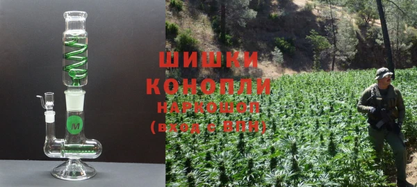 бошки Алексин