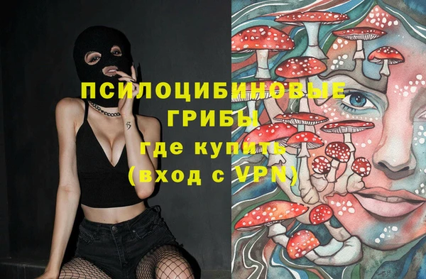 кокс Алексеевка