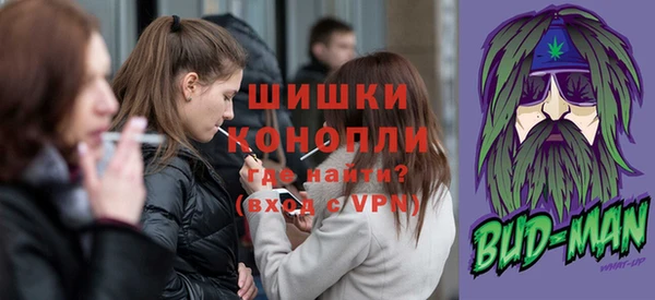 бошки Алексин