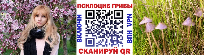 Псилоцибиновые грибы прущие грибы  сайты даркнета наркотические препараты  Перевоз  наркотики 